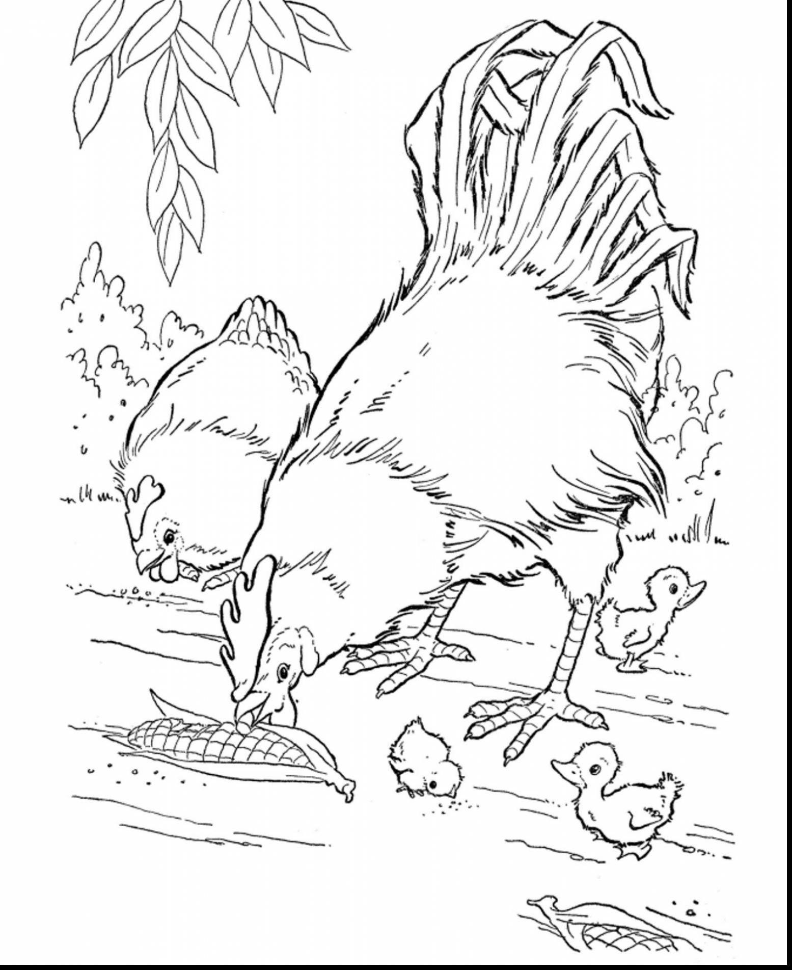 1555x1903 Unique Animal Coloring Pages National Geographic Design