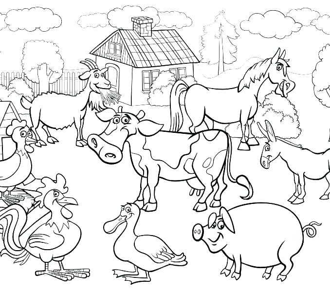 678x600 Animal Farm Coloring Pages