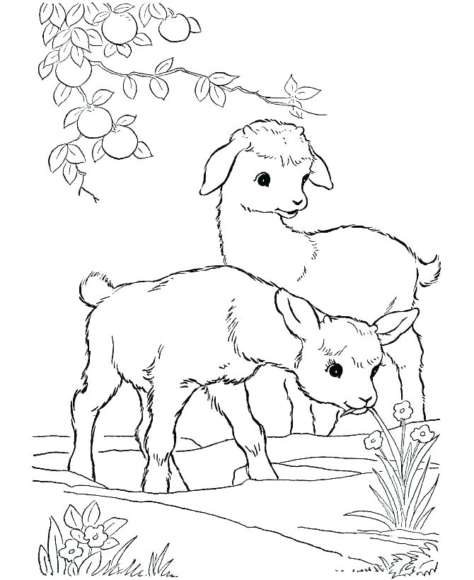 670x820 Farm Coloring Pages Kids Pics To Color Farm Coloring Pages