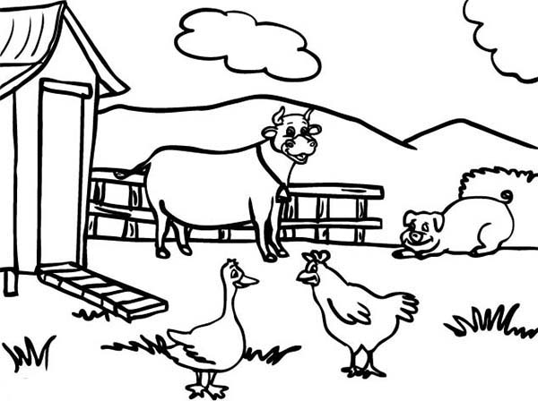 600x448 This Below Coloring Picture Products I Love