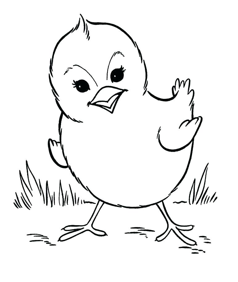 772x913 Farm Color Pages Farm Farm Animal Coloring Sheets For Preschool