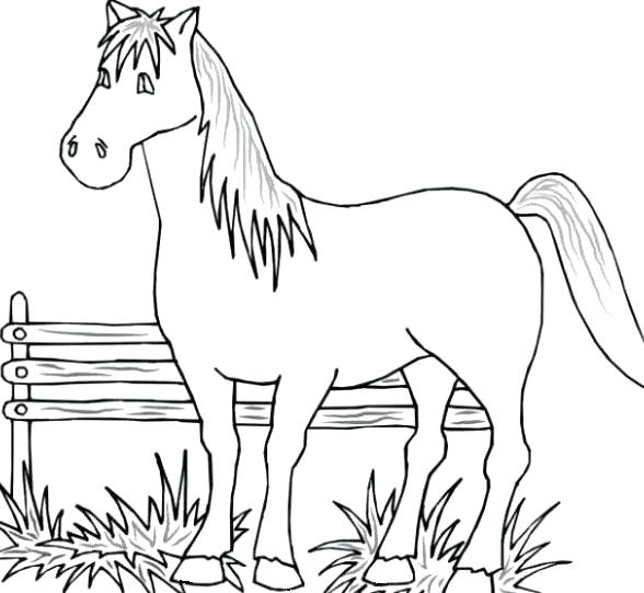588x541 Farm Coloring Pages Printable Camping Camargue