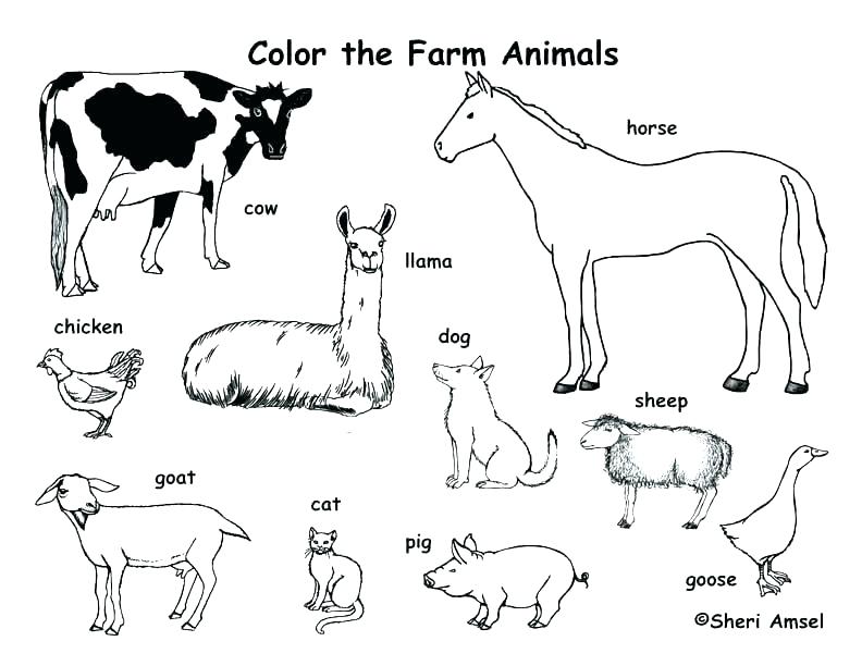 792x612 Farm Equipment Coloring Pages Farm Equipment Coloring Pages