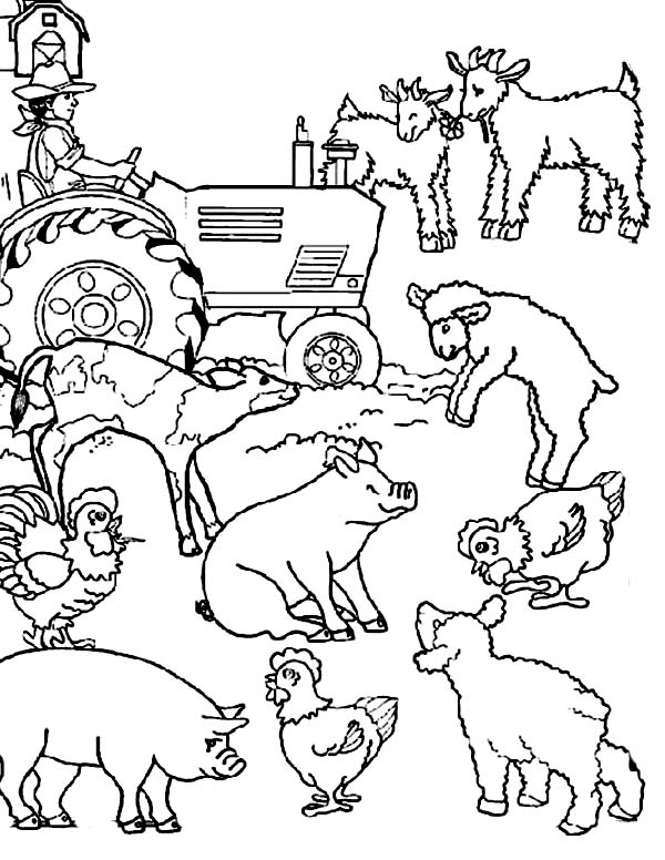 600x776 Coloring Page Farm Animals