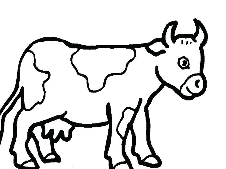 736x552 Cows Coloring Pages
