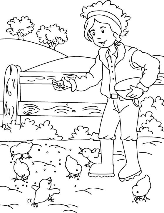 558x724 Farm House Coloring Page Motorvisual Perception