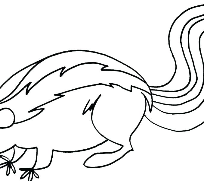 678x600 Cute Skunk Coloring Pages Printable Coloring Skunk Coloring Pages