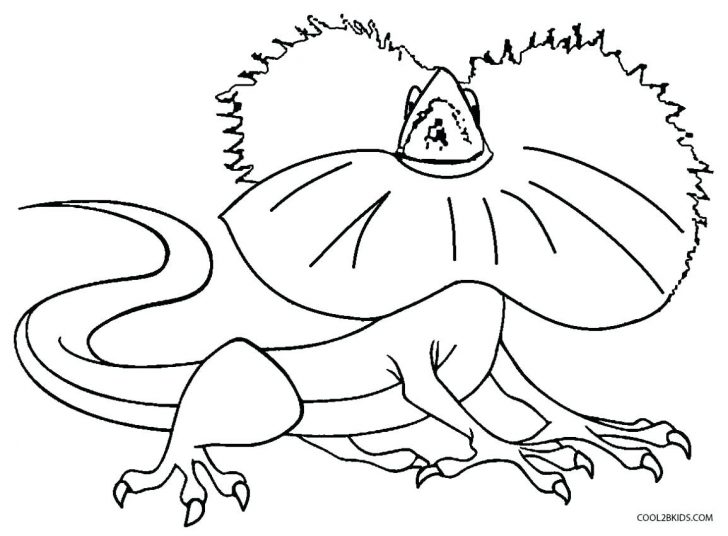 728x536 Kangaroo And Baby With Beautiful Umbrella Coloring Page Pages