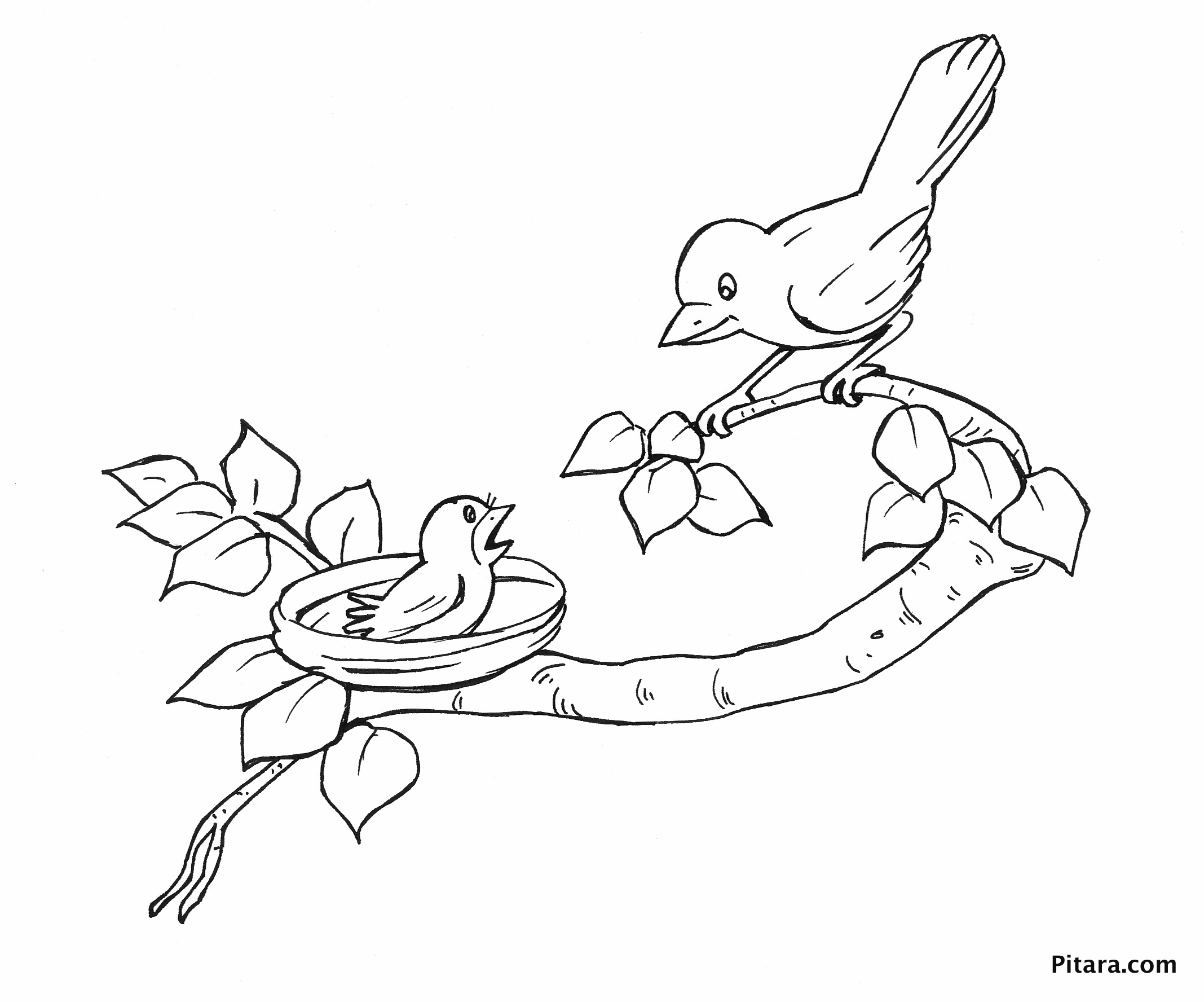 2135x1776 Improved Picture Of Birds To Colour Coloring Pages Flying 17 Best