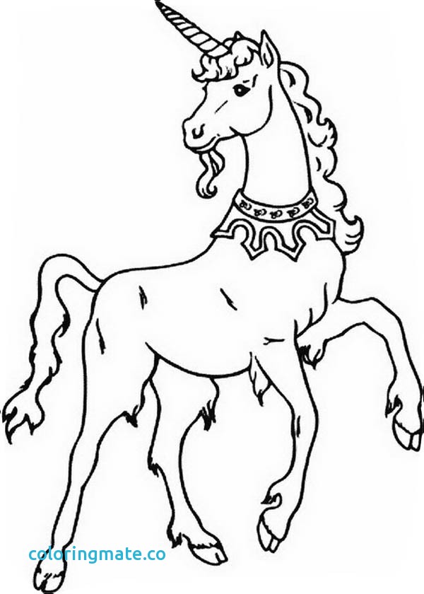 600x840 Free Unicorn Coloring Pages Fresh Fat Unicorn Coloring Pages