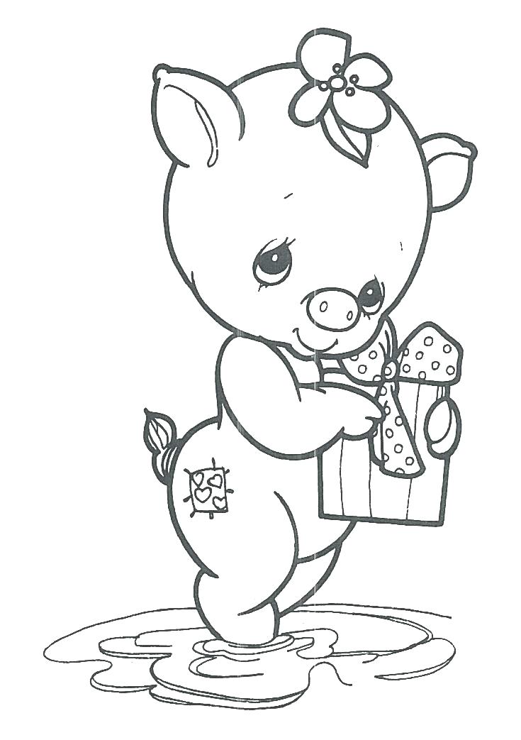 735x1043 Narwhal Coloring Page Narwhal Coloring Pages Narwhal Coloring Page