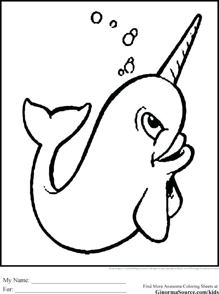 736x990 Narwhal Coloring Page Unicorn Horn Coloring Page Together