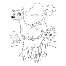 230x230 Top 20 Deer Coloring Pages For Your Little Ones