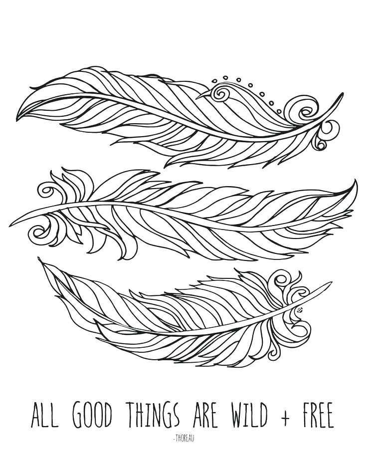 736x952 Feather Coloring Pages Eagle Coloring Page Eagle Coloring Pages