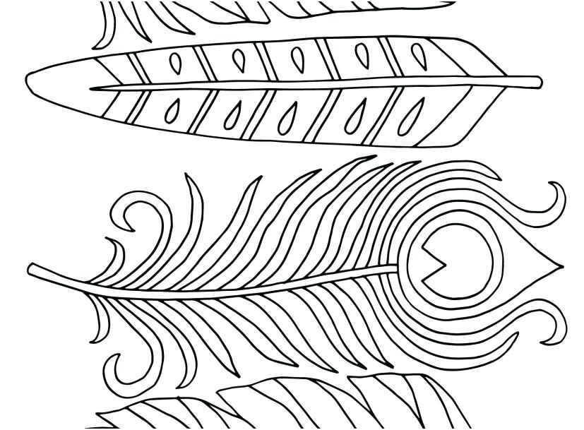 827x609 Coloring Pages Of Feathers