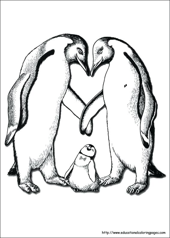567x794 Feet Coloring Pages Shippa.co