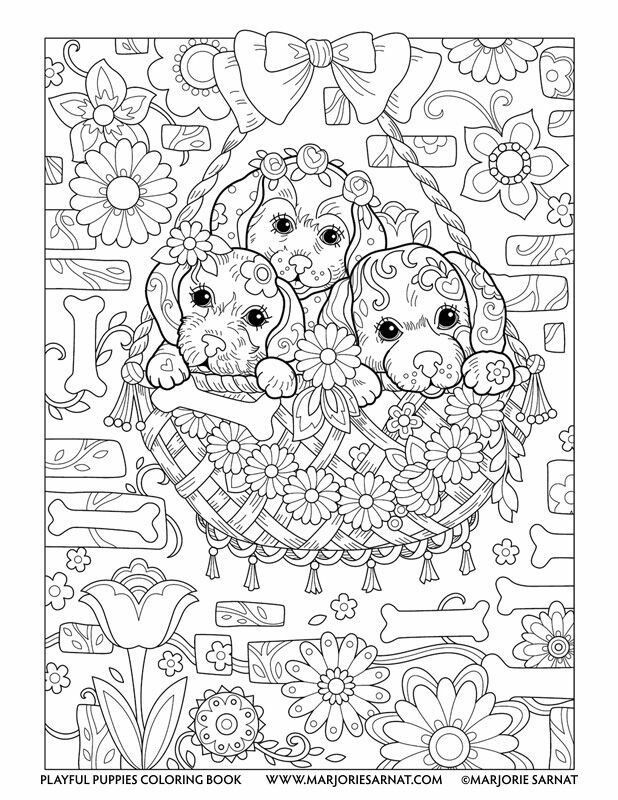 618x800 Fence Coloring Page Inspirational Pin By Annie Walter On Adult