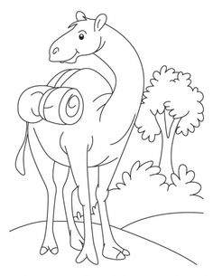 236x305 Sheep Rest, Aloof In Fence Coloring Pages Download Free Sheep