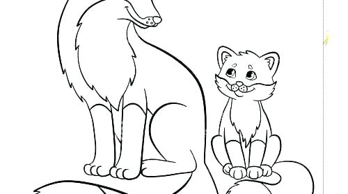 500x280 Baby Fox Coloring Pages Fox Coloring Pages Packed With Fox