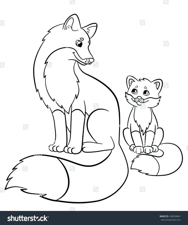 750x894 Baby Fox Coloring Pages Fox Picture Of Fox Coloring Pages Baby
