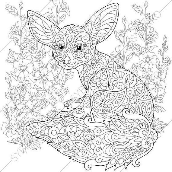 570x570 Fennec Fox. Mallow Flowers. Coloring Pages. Animal Coloring Book