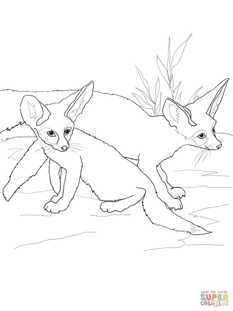 768x1024 Greatest Fennec Fox Coloring Page Babies