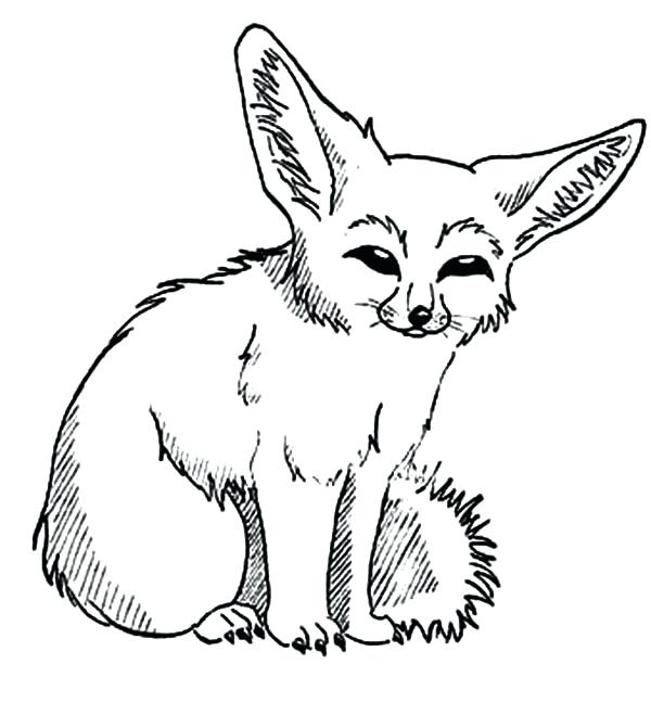 600x671 Baby Fennec Fox Coloring Pages 5 Image