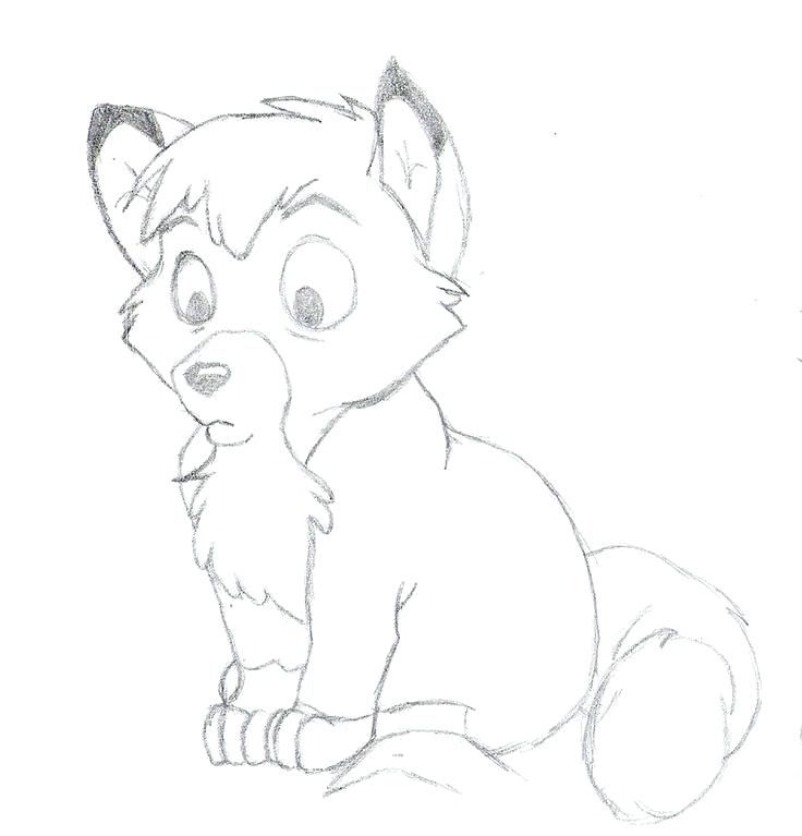 736x767 Fox Coloring Pagesaby Fox Coloring Pages