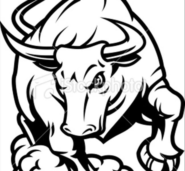 650x600 Bull Coloring Pages 3
