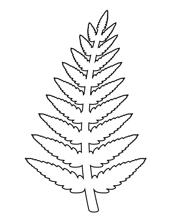 Fern Coloring Page