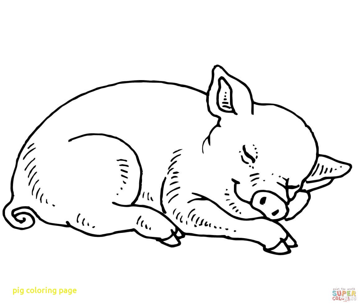 1168x992 Helpful Wilbur The Pig Coloring Page Fern Feed