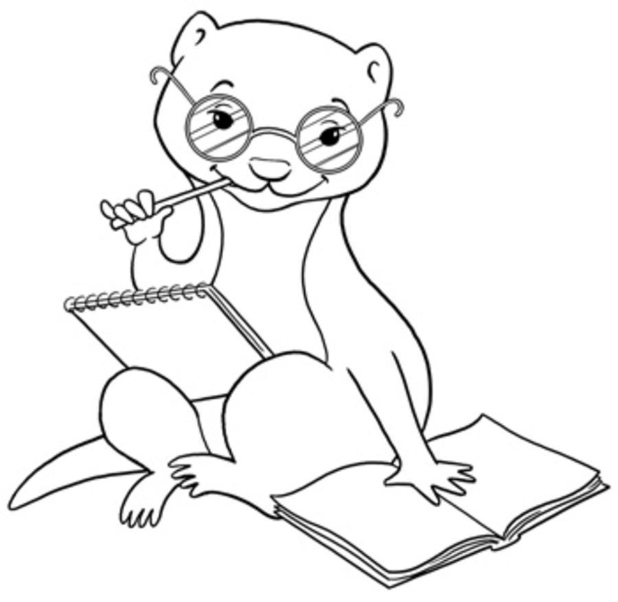Ferret Coloring Pages