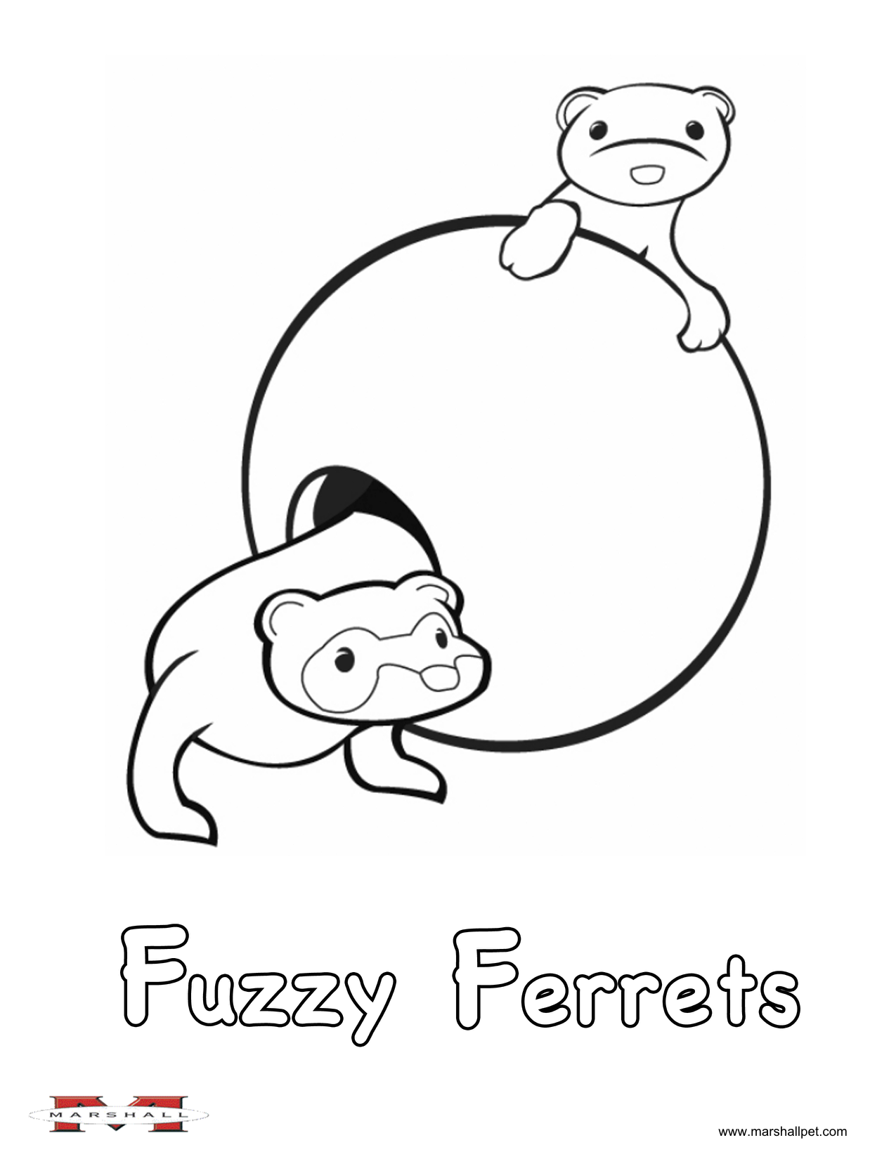 1275x1650 Ferrets Coloring Pages For Kids Ferret
