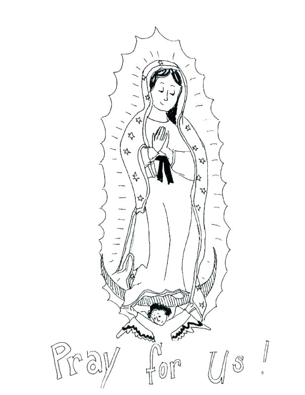 618x800 Ferret Coloring Pages