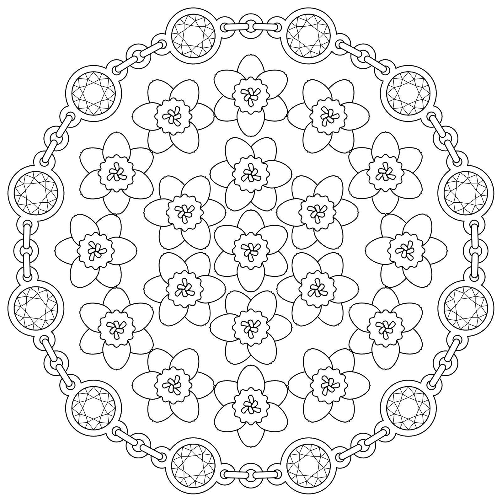 1600x1600 Pin By Klaudia Veltheim On Fractals Phyllotaxis Fibonacci Et Al