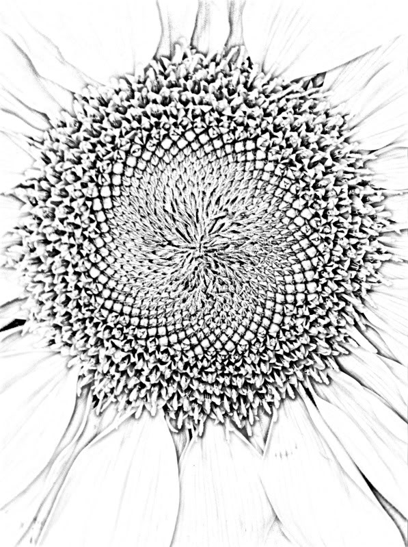 597x799 The Helpful Art Teacher The Spiral