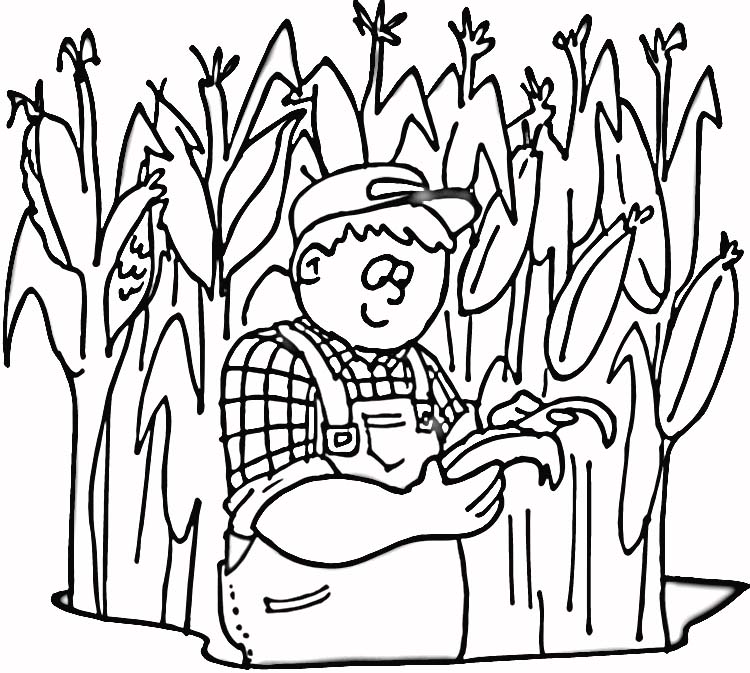 750x673 Corn Field Coloring Page Corn Stalks Coloring Pages Field Grig3