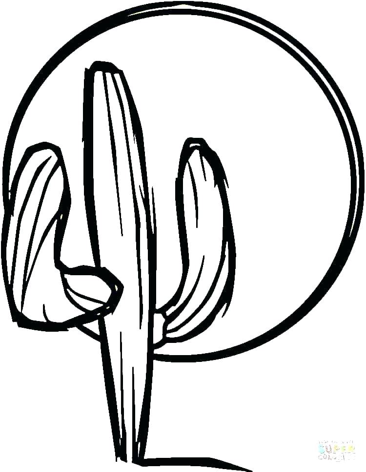 750x969 Printable Turkey Coloring Pages Fiesta Coloring Pages Free