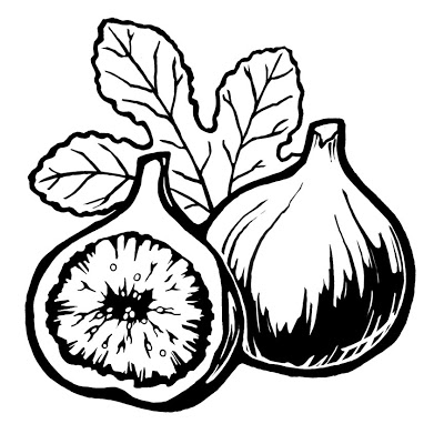 400x391 Fig Coloring Page