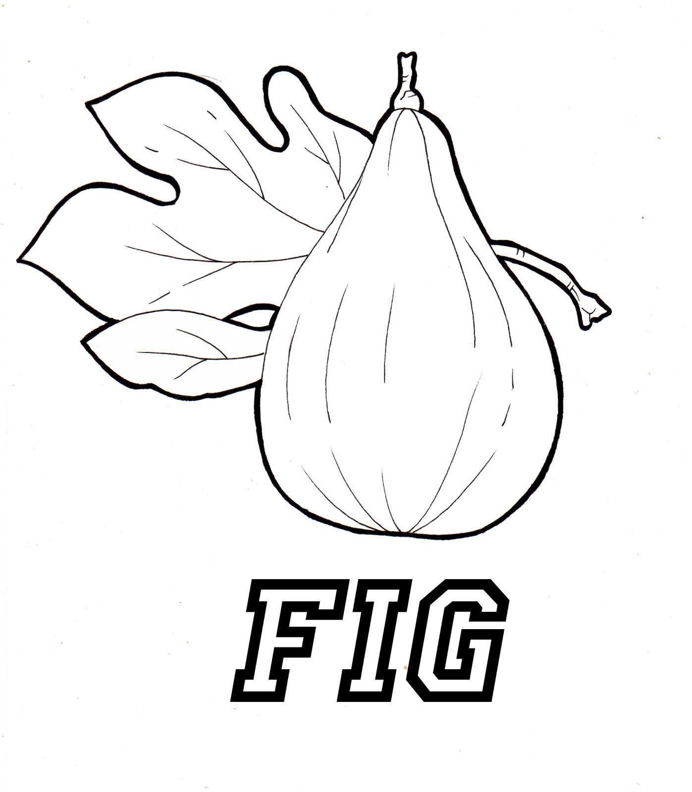 1397x1600 Figs Coloring Pages