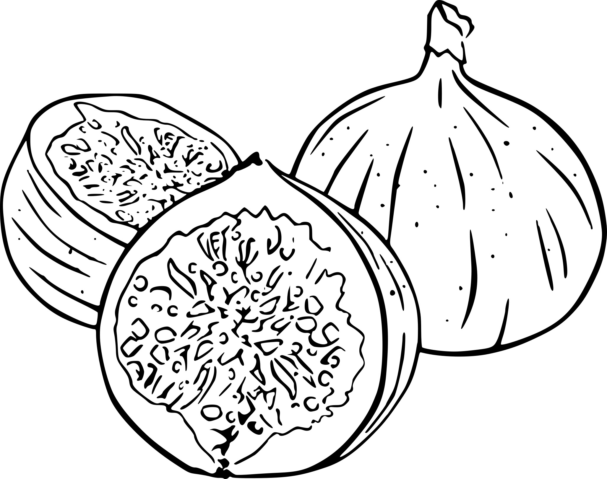 2054x1622 Figs Coloring Page