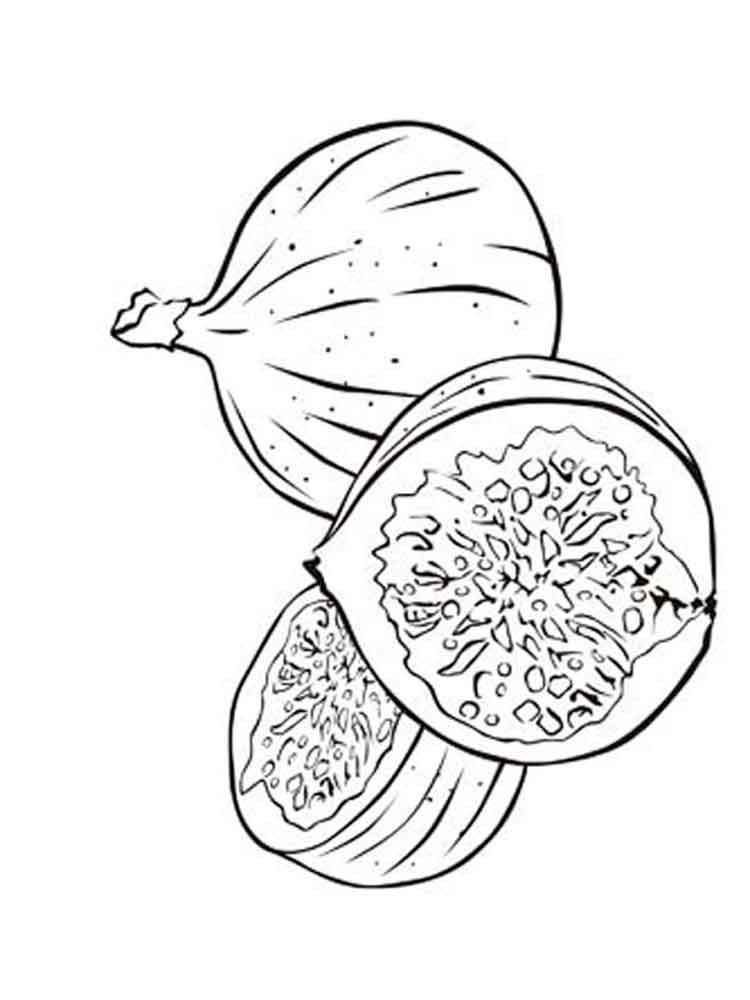 750x1000 Figs Coloring Pages. Download And Print Figs Coloring Pages.