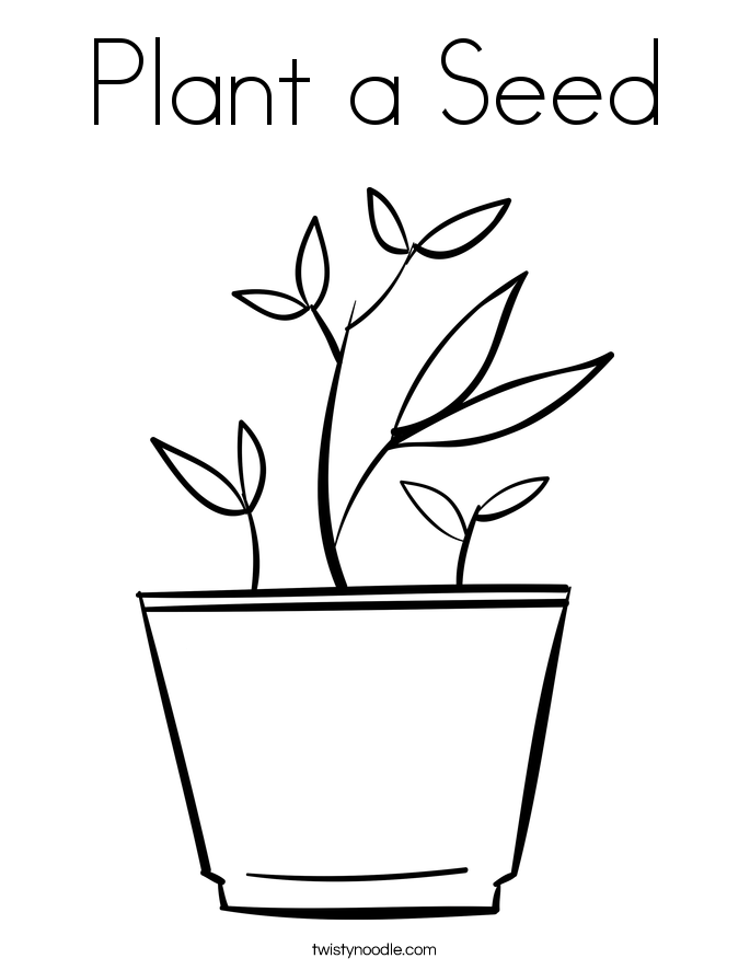 685x886 Plant A Seed Coloring Page