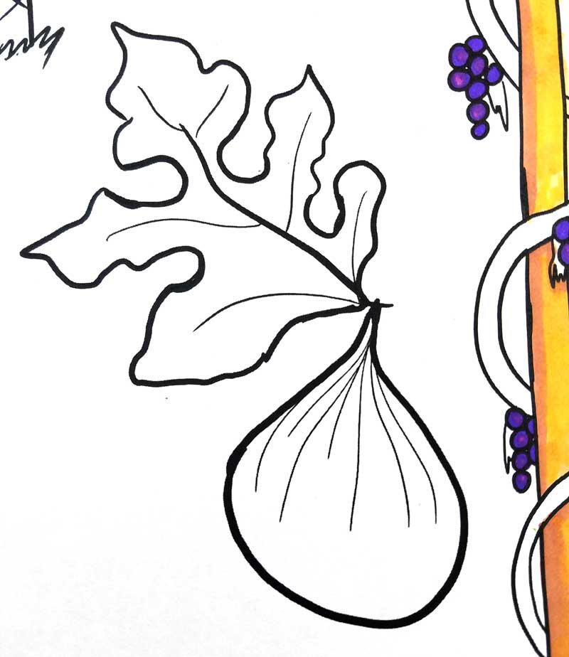 800x924 Tu Beshvat Coloring Page For Kids, Teens, And Adults