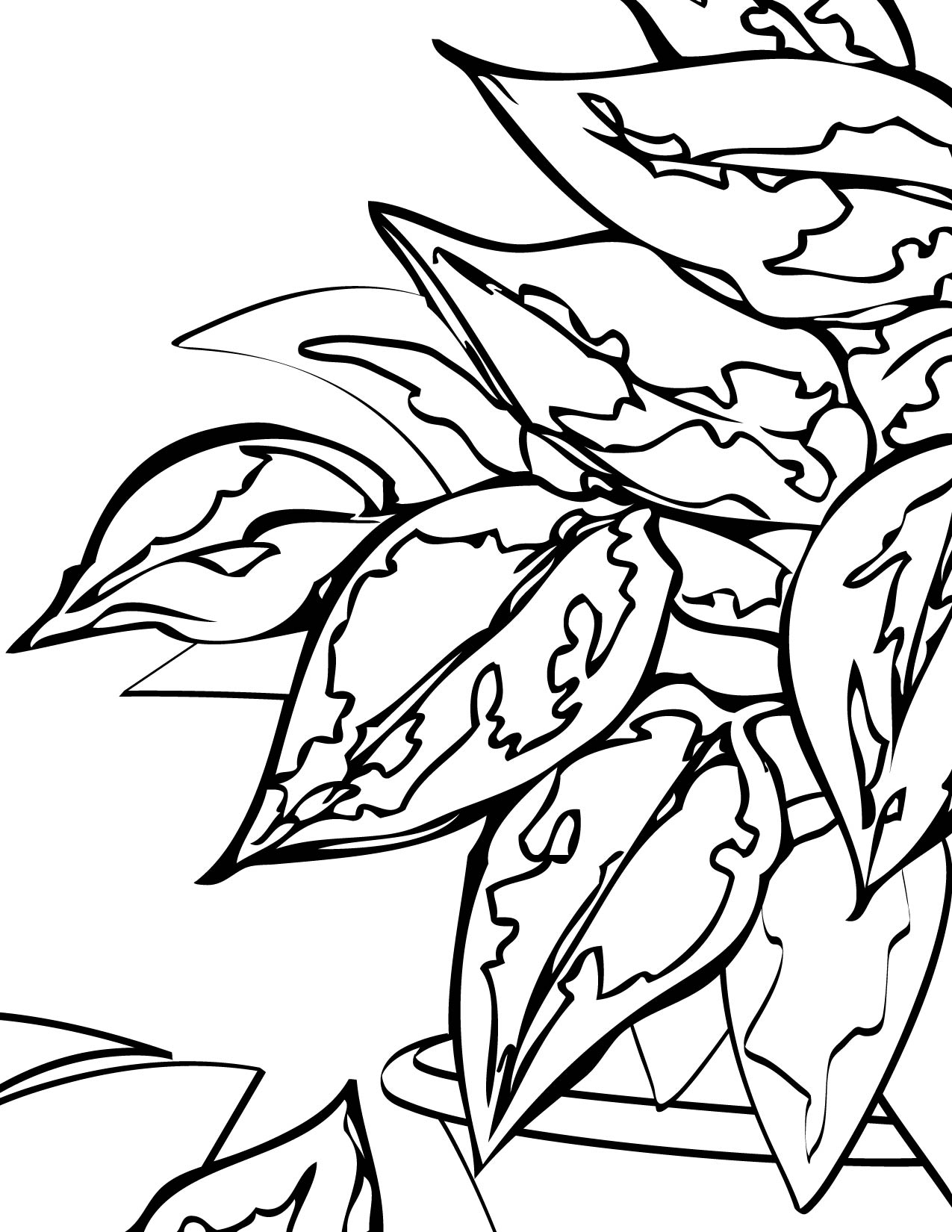 1275x1650 Weeping Fig Coloring Page