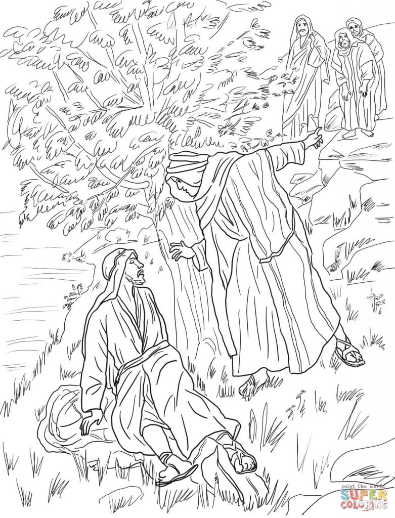 781x1024 Coloring Page Fig Tree Copy Fig Plant Coloring Page Inspiration