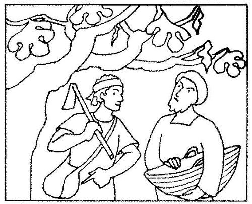 Fig Tree Coloring Page