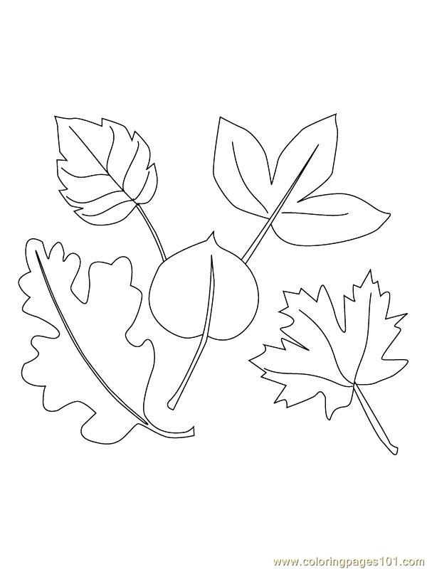 600x800 Fig Tree Coloring Pages