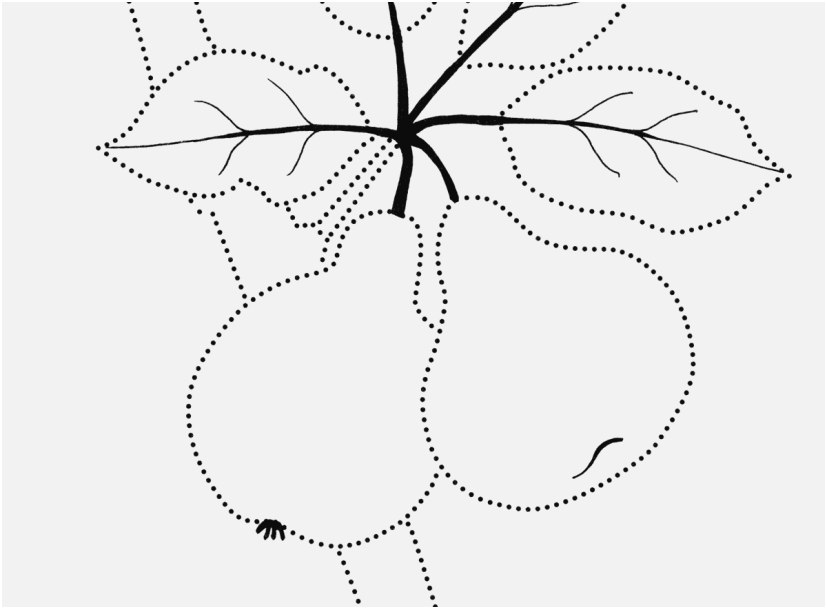 827x609 A Good Collection Coloring Pages Figs The Best
