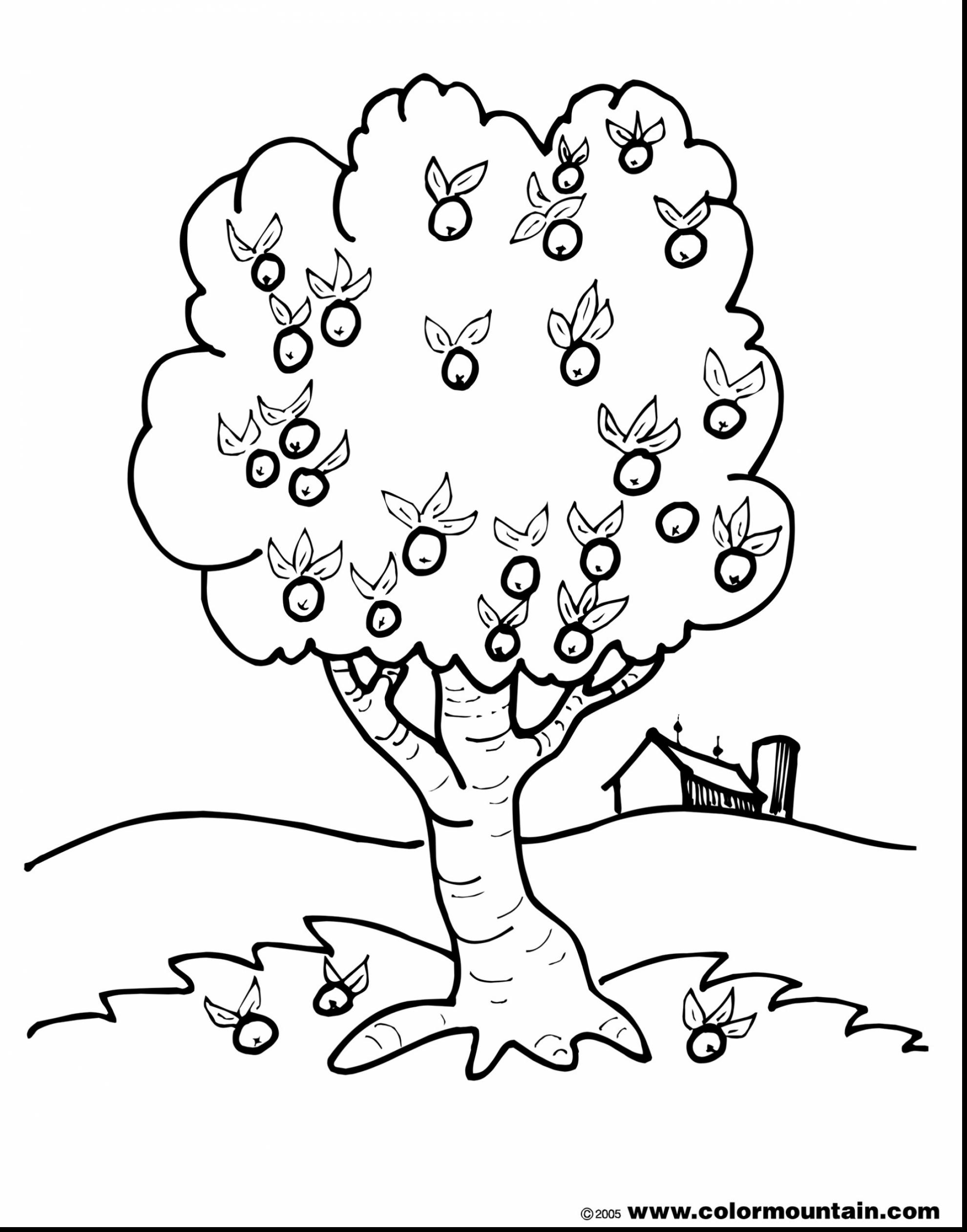 1980x2523 Fresh Apple Tree 55 Nature Printable Coloring Pages